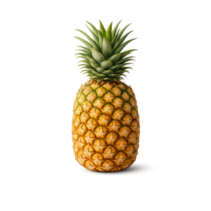 Fruit