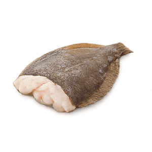Scholfilet