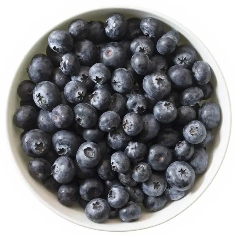 Wilde Blauwe Bosbessen