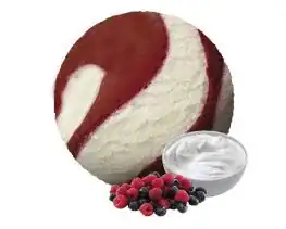 Roomijs Yoghurt-Bosvrucht