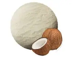 Roomijs Kokosnoot
