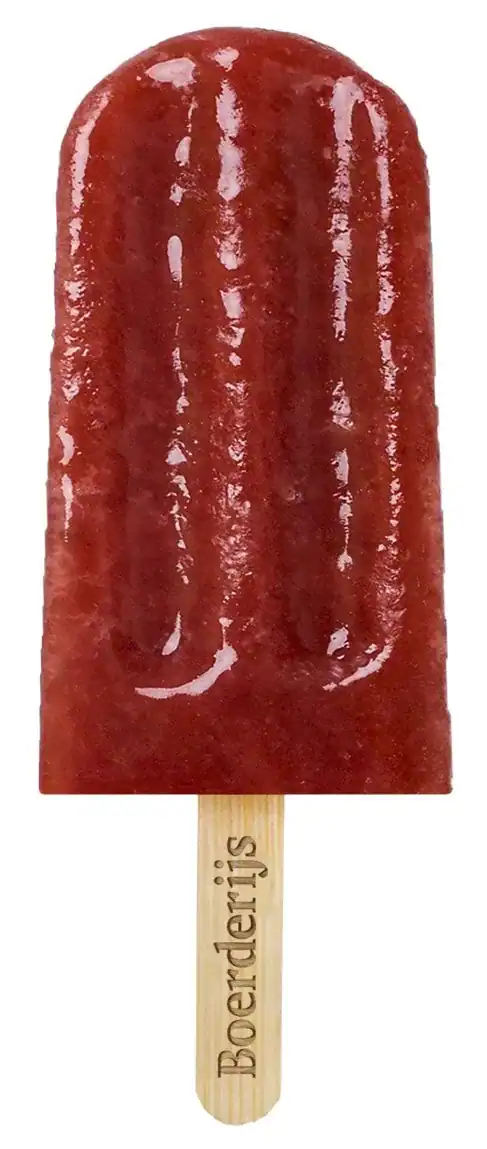 Bio Fruitijsje Aardbei