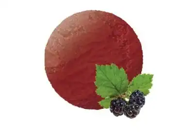 Sorbetijs Bramen
