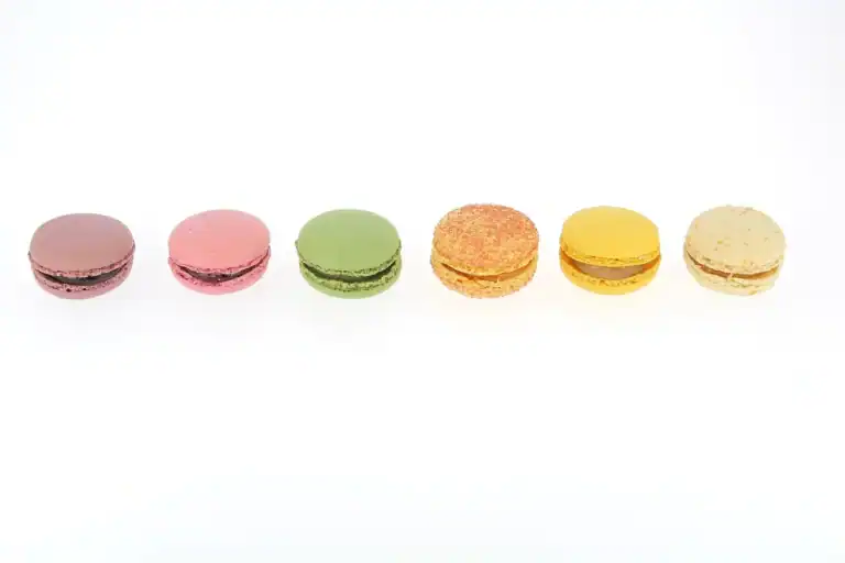 Macarons Aux Fruits