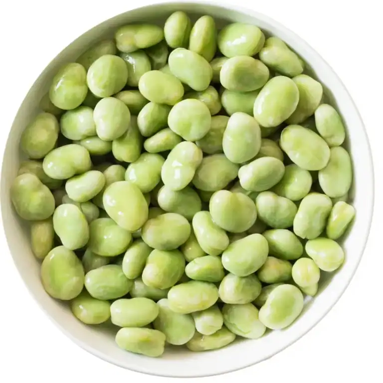 Tuinbonen Kilo