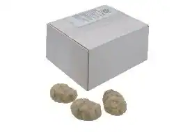 Witlof Gepureerd