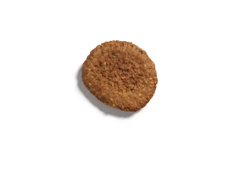 Hamburger Voorgegaard