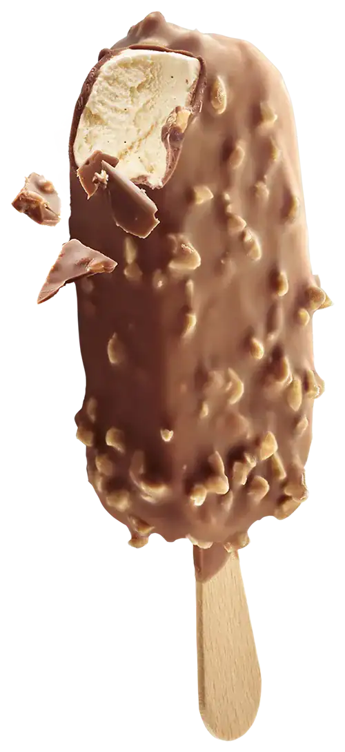 Bio Roomijs Royaal Amandel Choc
