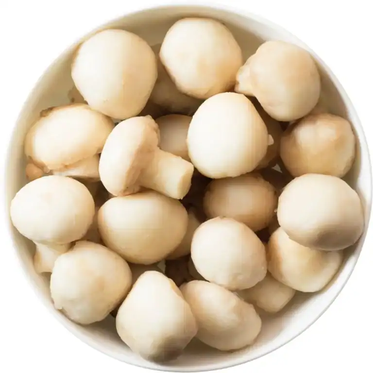 Champignons Heel